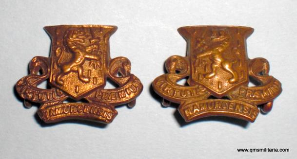 The Royal Irish Regiment ( 18th Regt of Foot ) Other Ranks Facing Collar Badges