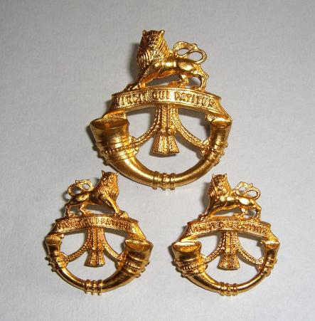 South Africa  - Rand Light Infantry Cap Badge and Collar Set
