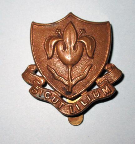 Magdalen College School Oxford Junior OTC/ CCF Brass Cap Badge