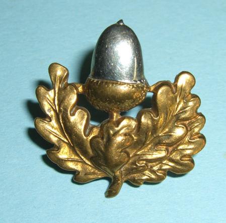 The Cheshire Regiment Officers Silver and Gilt Collar Badge