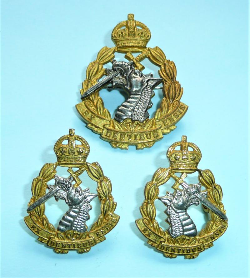 Royal Army Dental Corps (RADC) Officer's Silver Plated and Gilt Cap and matching facing Collar Badge Set