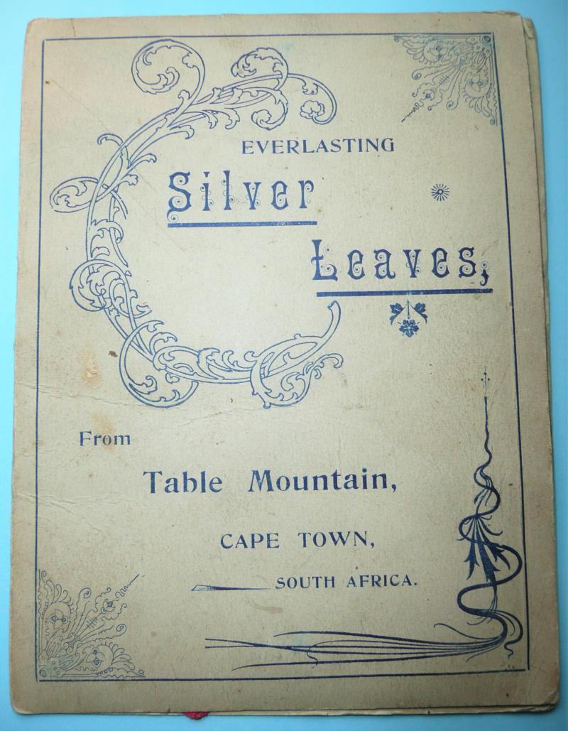 2nd Anglo-Boer War Silver Leaves Art Card - To My Dear Brother