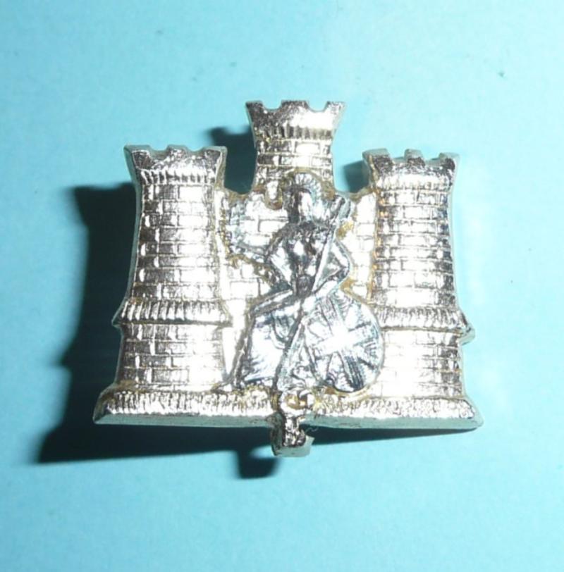 1st Battalion Royal Anglian Regiment Staybrite Anodised Aluminium AA Collar Badge