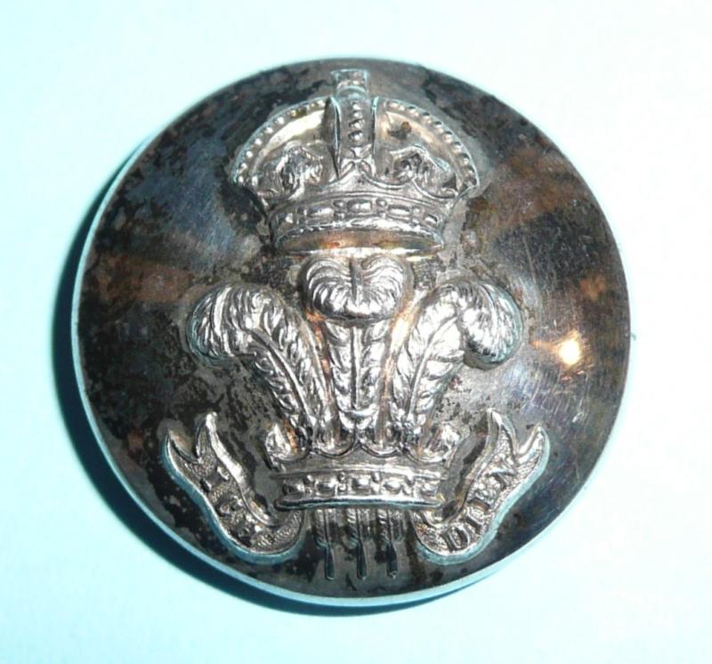 The Royal Wiltshire Yeomanry (Prince of Wales's Own) Officers Large Pattern Silver Plated Button