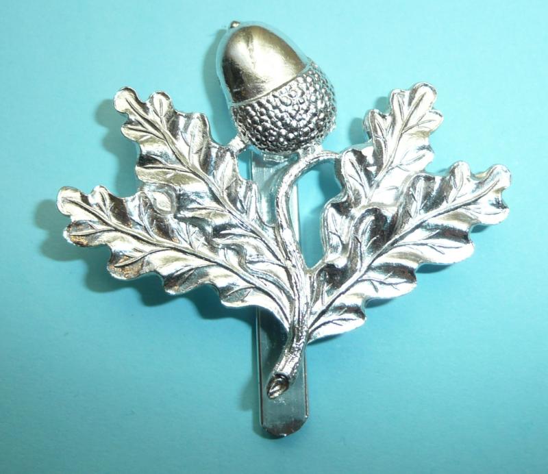South Notts Hussars AA Anodised Aluminium Cap Badge - Gaunt London