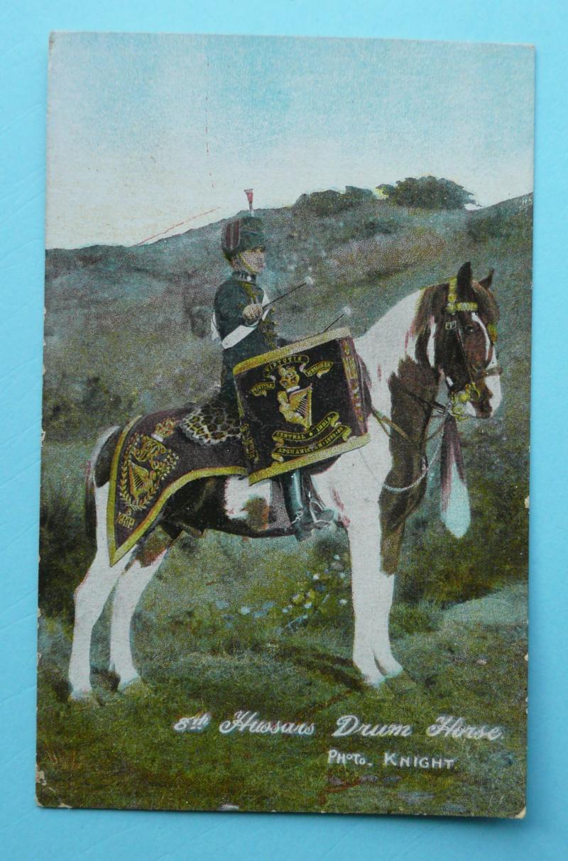 Edwardian 8th Royal Irish Hussars Drum Horse Postcard