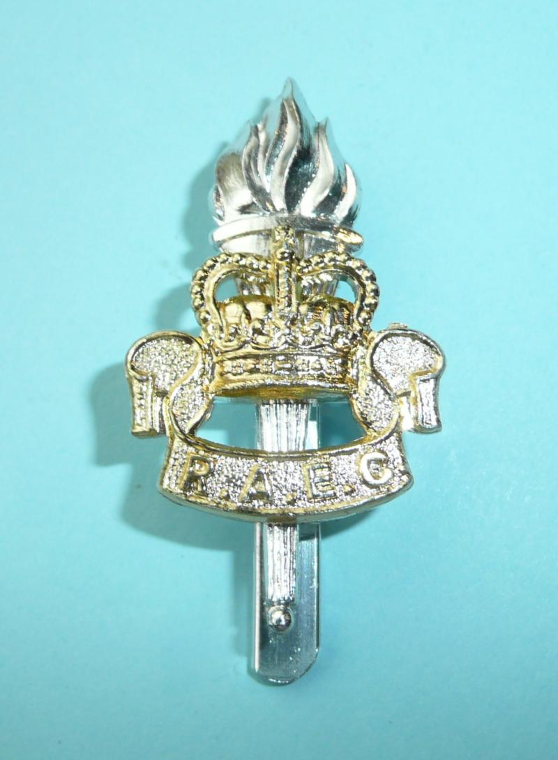 Royal Army Education Corps (RAEC) Other Ranks AA Anodised Staybrite Cap Badge, Queen's Crown
