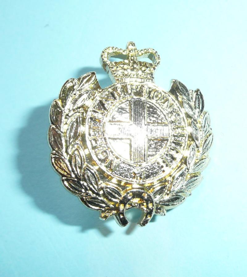 7th (Volunteer) Battalion, The Royal Anglian Regiment (formerly Northamptonshire Regiment) Other Ranks AA Anodised Staybrite Collar Badge
